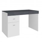 SLIDING desk with 1 door and 1 drawer - Web Furniture